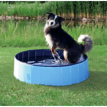 piscina per cani