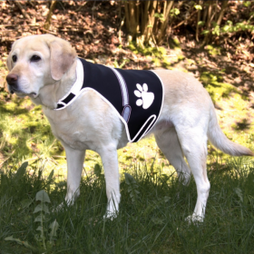 Panciotto di sicurezza Flash USB per cane