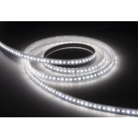 STRIP LED HP PLUS - STRISCE