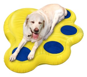 lazy raft