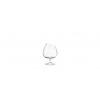 COGNAC - BICCHIERE