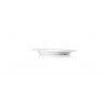 DINNERPLATE